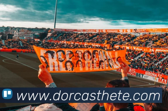 平台展示图